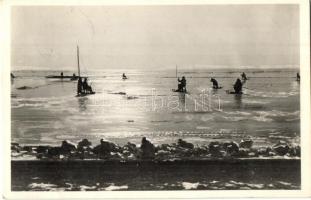 Balatonkenese, fakutyázás napsütésben (EK)