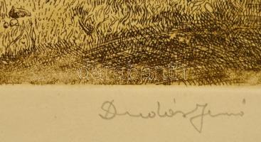 Dudás Jenő (1900-1991): Fűzfák. Színezett rézkarc, papír, jelzett, 29×28 cm