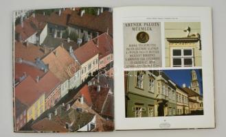 Műépítész a műemlékek városában. Csák Máté soproni épületei. Vadas József bevezetőjével. Bp.-Sopron,...