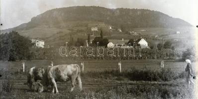 cca 1961 Balatoni felvételek, 5 db szabadon felhasználható, nagyméretű, professzinális minőségű,vintage negatív Kotnyek Antal (1921-1990) fotóriporter hagyatékából, 9x12 cm