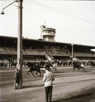 1962 Budapest, galoppverseny, 10 db szabadon felhasználható, vintage negatív Kotnyek Antal (1921-199...