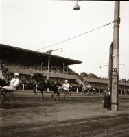 1962 Budapest, galoppverseny, 10 db szabadon felhasználható, vintage negatív Kotnyek Antal (1921-199...