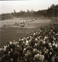 1962 Budapest, galoppverseny, 10 db szabadon felhasználható, vintage negatív Kotnyek Antal (1921-199...