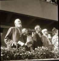 1962 Budapest, galoppverseny, 10 db szabadon felhasználható, vintage negatív Kotnyek Antal (1921-199...