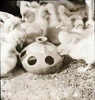 cca 1935 Békéscsaba környéki tanyák, 13 db szabadon felhasználható vintage negatív Thöresz Dezső (19...