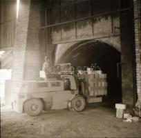 1981 Serényfalvi téglagyár, 48 db szabadon felhasználható vintage negatív, 6x6 cm és 24x36 mm