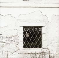 1982 Tarnaörsi romos kastély, 17 db szabadon felhasználható vintage negatív, 6x6 cm