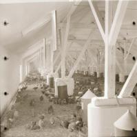 cca 1970 Kecskeméti városképek, 13 db vintage negatív Medgyesi László (?-?) hagyatékából, 6x6 cm