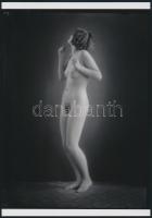 cca 1926 Demeter Károly (1892-1983) párizsi korszakából való szolidan erotikus jelzetlen fénykép, üveglemez negatívról készült, mai nagyítás, 25x18 cm