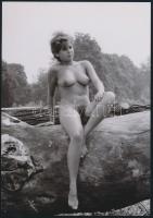 cca 1974 Első fotózkodás ruha nélkül, 4 db szolidan erotikus fénykép, vintage negatívokról készült mai nagyítások, 25x18 cm / 4 erotic photos, 25x18 cm