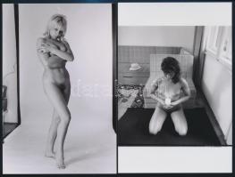 cca 1978 Mindent a szemnek, 13 db szolidan erotikus fénykép, vintage negatívokról készült mai nagyítások, 15x10 cm / 13 erotic photos, 15x10 cm