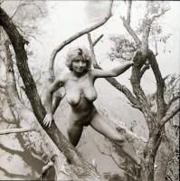 cca 1975 Pucér lányok kavalkádja, szolidan erotikus felvételek, 13 db vintage negatív, 6x6 cm