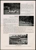 1937 Otto Winzer (Ballenstedt - Harz) baromfi kereskedő prospektusa, német nyelven./ 1937 Brochure o...