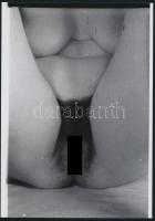 cca 1973 Szolidan erotikus fényképek tétele, 4 db vintage negatívról készült mai nagyítások, 25x18 c...