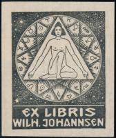 Karl Hugo Frech (1883-1945): Ex libris Wilh. Johannsen, fametszet, papír, jelzett a dúcon, 7,5×6 cm