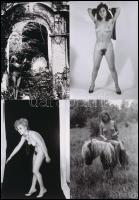 cca 1978 Vegyes látványosság, 13 db szolidan erotikus vintage negatívról készült mai nagyítás, 13x9 ...