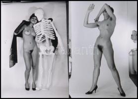 cca 1978 Vegyes látványosság, 13 db szolidan erotikus vintage negatívról készült mai nagyítás, 13x9 ...