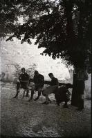 cca 1930 Cserkészek, 4 db vintage negatív, 6x9 cm