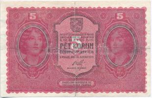Csehszlovákia 1919. 5K T:III Czechoslovakia 1919. 5 Korun C:F Krause 7