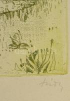 Túry Mária (1930-1992): Hazafelé. Színezett rézkarc, papír, jelzett, üvegezett keretben, 24×29 cm