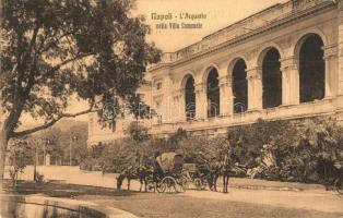 Naples, Napoli; - 25 pre-1945 postcards