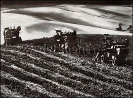 cca 1970 Gebhardt György (1910-1993): Borsóaratás, feliratozott vintage fotóművészeti alkotás, 30x40 cm