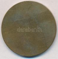 Zsákodi Csiszér János (1883-1953) 1928. "Magyar Anyák Nemzeti Ünnepe" Br emlékérem (40mm) ...