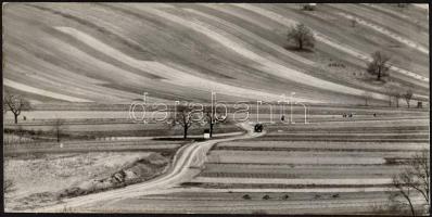 cca 1970 Zsigri Oszkár (1933-?) budapesti fotóművész hagyatékából 2 db vintage fotóművészeti alkotás...