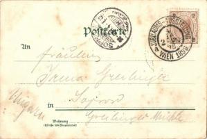 1898 Vienna, Wien I. K. u. K. Hof-Oper, Verlag J. Miesler / opera house at night, horse-drawn tram, ...