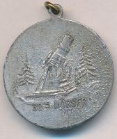 Osztrák-Magyar Monarchia ~1914-1918. "Viribus Unitis / 30'5 Mörser" ezüstözött fém em...