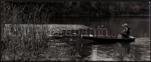 cca 1963 Dezső Pál kecskeméti fotóművész 2 db feliratozott vintage fotóművészeti alkotása, 16x39,5 c...