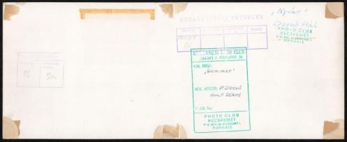 cca 1963 Dezső Pál kecskeméti fotóművész 2 db feliratozott vintage fotóművészeti alkotása, 16x39,5 c...