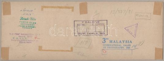 cca 1960 Krisch Béla kecskeméti fotóművész 2 db feliratozott vintage fotóművészeti alkotása, az egyi...