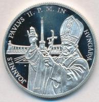 1991. 500Ft Ag "II. János Pál pápa látogatása" T:PP Adamo EM120