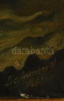 Salamon jelzéssel: Virágcsendélet. Olaj, vászon, sérült, 50×70 cm