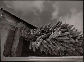 cca 1938 Osoha László (?-?): Eresz alatt, pecséttel jelzett vintage fotóművészeti alkotás, 39x28 cm