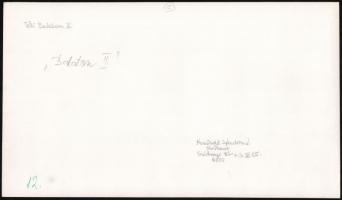 Balatoni vintage fotók, 6 db - részben feliratozott - fénykép, 17x23 cm és 40x30 cm között