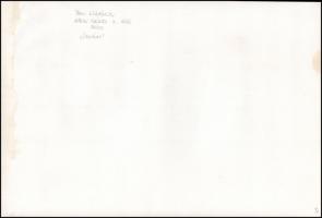 Balatoni vintage fotók, 6 db - részben feliratozott - fénykép, 17x23 cm és 40x30 cm között