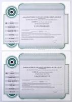 Budapest 1991. "Középületépítő Vállalat" ingyenes vagyonjegye 1000Ft értékben (2x) sorszámkövetők + Budapest 1991. "Anilinfesték és Vegyianyagforgalmi Vállalat" névre szóló, ingyenes vagyonjegye 10.000Ft értékben (2x) sorszámkövetők + Miskolc 1990. "DIMAG Diósgyőri Metallurgiai és Alakítástechnológiai Gyárak Rt." tíz részvénye összesen 100.000Ft-ról "MINTA" felülnyomással, szelvényekkel T:II tűly.