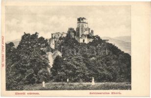 Zboró, Zborov; várromok. Divald Adolf 24. / Schlossruine / castle