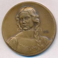 Berán Lajos (1882-1943) ~1930. "Budapesti emlék" Br emlékérem (40,5mm) T:2