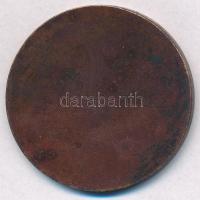 Zsákodi Csiszér János (1883-1953) 1928. "Magyar Anyák Nemzeti Ünnepe" Br emlékérem (40mm) ...