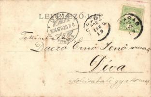 1906 Fogarasi Kárpátok, Fagaras; Portitia Nagy-Árpásnál / mountain, Thierfeld photo (EB)