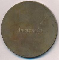 Fritz Mihály (1947-) 1986. "30. Nemzetközi Barátság Maraton Szeged" Br emléérem (60mm) T:2