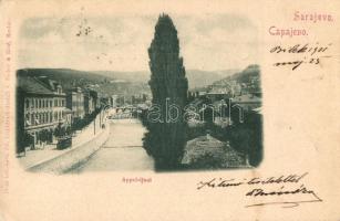 Sarajevo - 2 pre-1945 town-view postcards