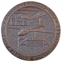 1979. "50 éves a Magyar Vitorlázórepülés - Farkashegy 1929-1979" Br emlékplakett, peremén sorszámozott ("33") (92mm) T:2