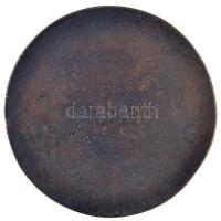 1979. "50 éves a Magyar Vitorlázórepülés - Farkashegy 1929-1979" Br emlékplakett, peremén ...