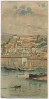 1899 Trieste, big sized litho art postcard (22 cm x 10,7 cm) (fa)