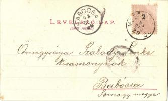 1898 Budapest, Királyi várpalota, Nyugati pályaudvar, villamos, rakpart, gőzhajó, Magyar Automatagyá...