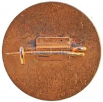 1963. "75 éves az MTK - 1888-1963" aranyozott, festett jelvény (18mm) T:2